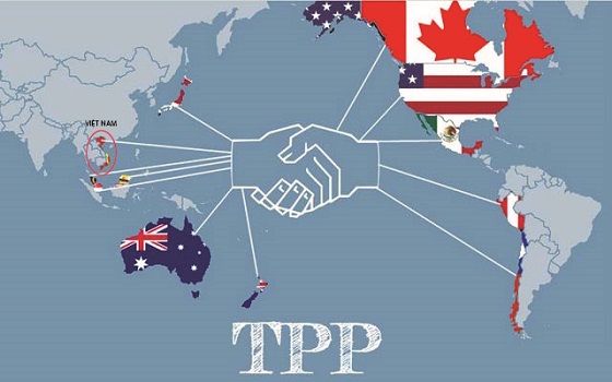 Luật sư Việt Nam với TPP trong hội nhập quốc tế