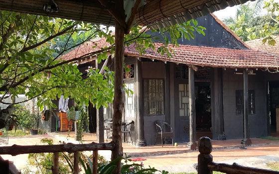 Lá rụng đầy sân...